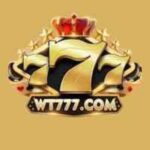 WT777 Game