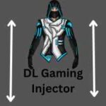 DL Gaming injector