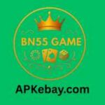 BN55 Game