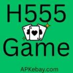 H555 Game